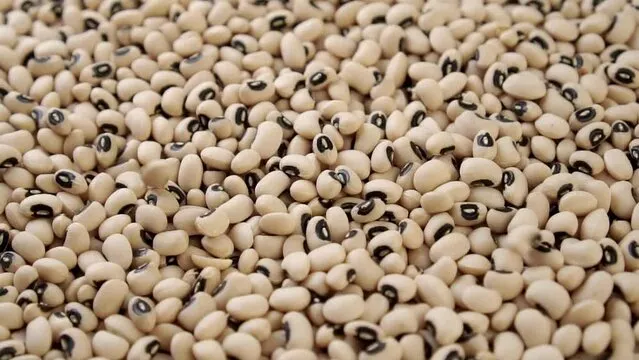 Black-Eyed Beans — Nigeria · Niger